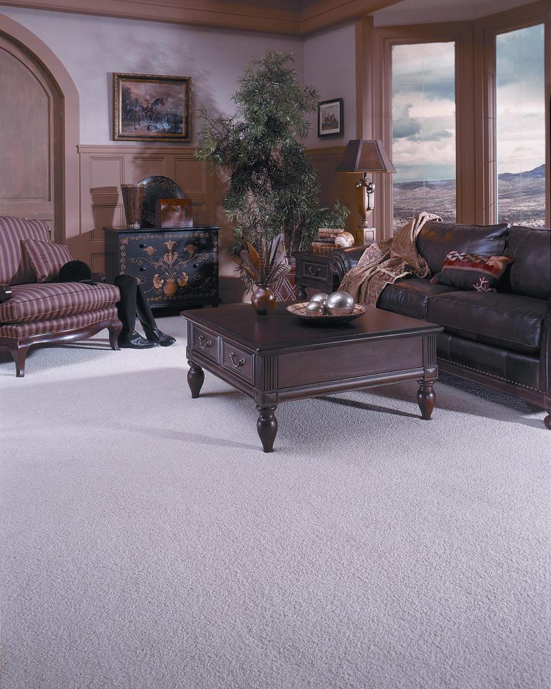 carpet sample