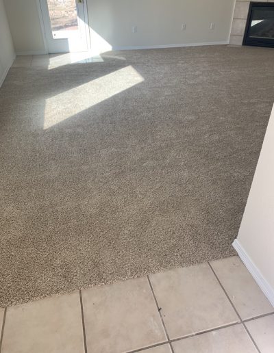 living room carpet sample