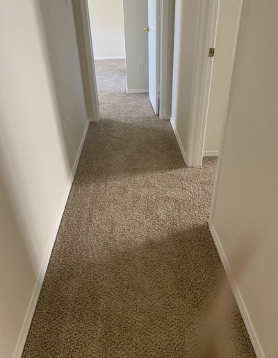 hallway carpet sample